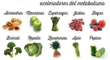 alimentos que queman grasa